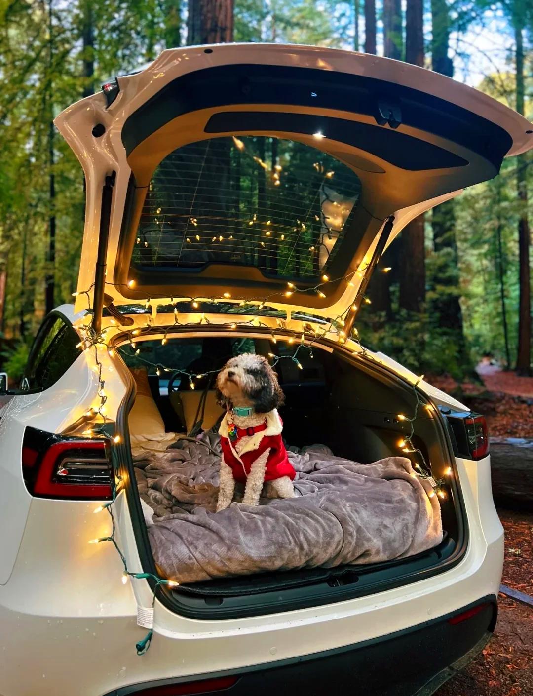 特斯拉老款Model Y优惠1万元/5年0息金融方案延续 首付7.99万元起