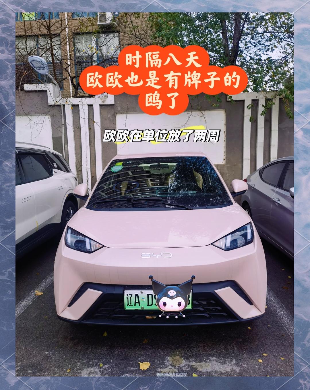 6.98万元起！比亚迪一口气发布21款智驾版车型：全部保持原价