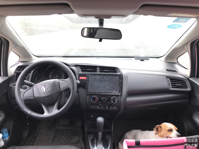三条狗拆了一辆本田