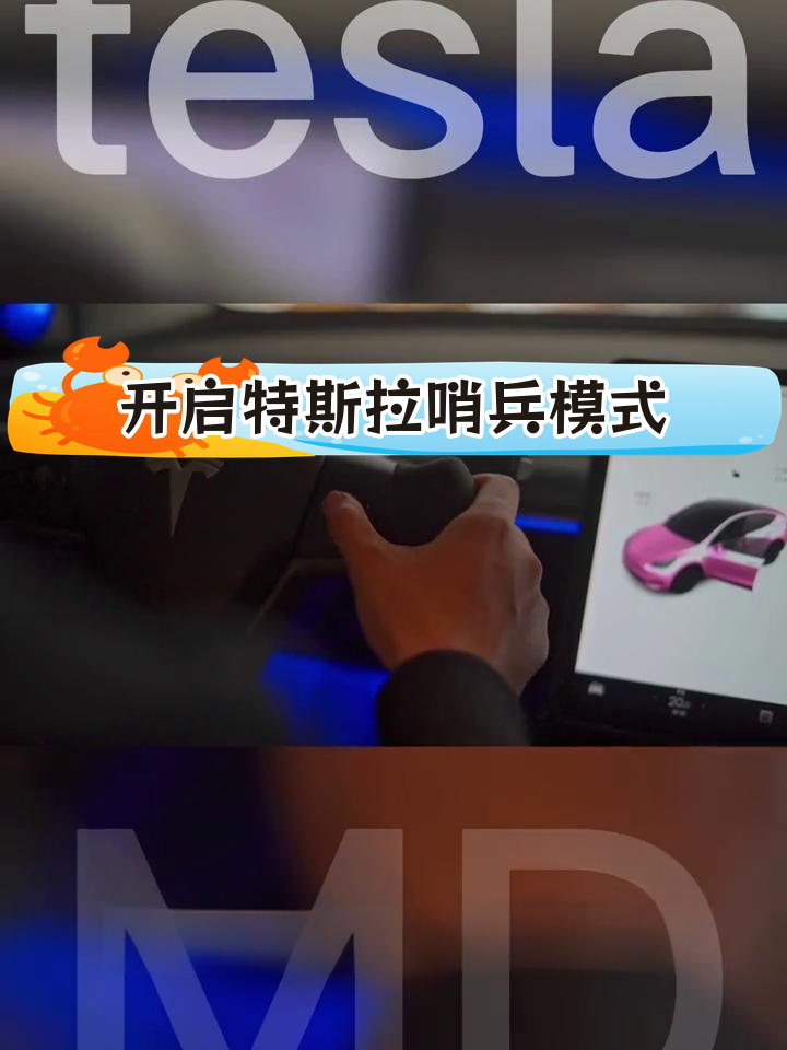 国外特斯拉车主太难了！哨兵模式拍下各种各样恶意攻击行为