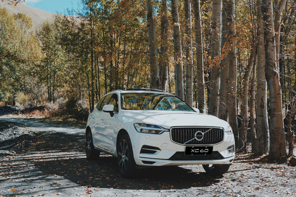 沃尔沃汽车美国工厂因零部件短缺停产